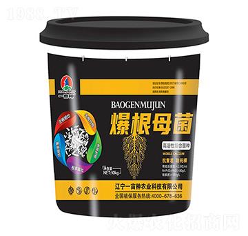 高活性復(fù)合菌種-爆根母菌-一畝神