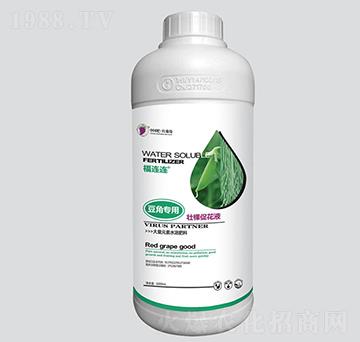 ���ǌ��Éѿôٻ�Һ-�t����