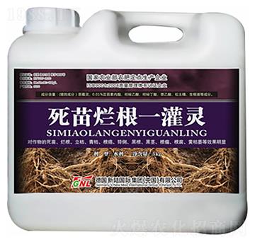 ���砀��һ���`-�»�