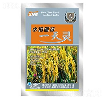 水稻僵苗一天靈-德化
