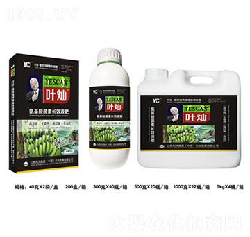 �㽶����������L(zh��ng)ЧҺ��-�~�N-�»�