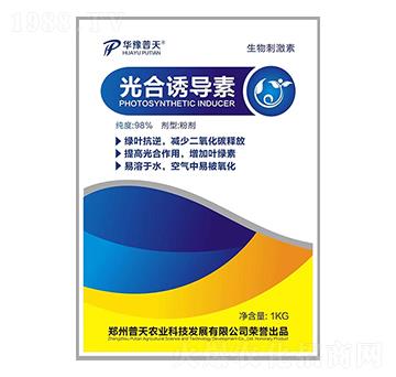 ����T����-�����r(n��ng)�I(y��)