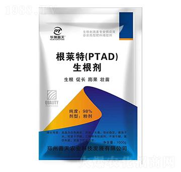 ���R�أ�PTAD��-������-�����r(n��ng)�I(y��)