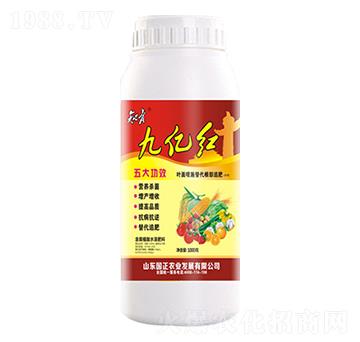 �Ń|�t�~�懊ʩ�������