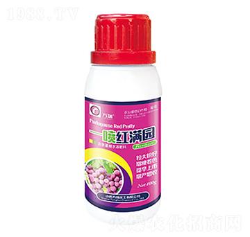 一噴紅滿園-方瑞