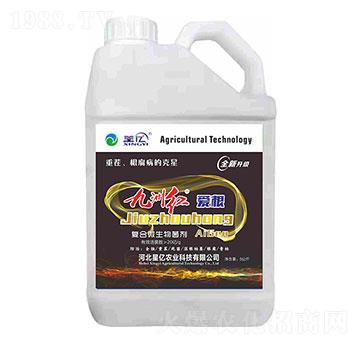 復(fù)合微生物菌劑-九州紅愛根-星億農(nóng)業(yè)