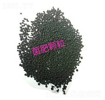 �����w��-܊�x����