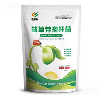 �ݲ�ѿ�ߗU��-��֪�r(n��ng)-���ֶ��r(n��ng)�I(y��)