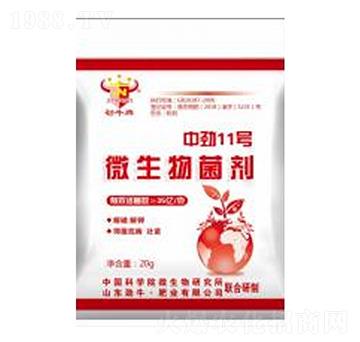 中勁11號(hào)微生物菌劑-勁牛