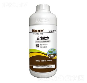 定根水含氨基酸水溶肥料-福泰紅牛