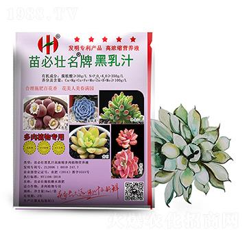 ����֭�ߝ�s����ֲ��I(y��ng)�B(y��ng)Һ-��؉�