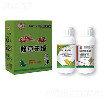 高效玉米田苗后除草方案-新老馬除草先鋒-惠耘農(nóng)業(yè)