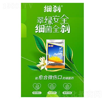 細(xì)剎-西大華特