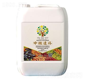 中微速補(bǔ)-海植樹