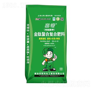 �������Ϗ�(f��)�Ϸ���25-