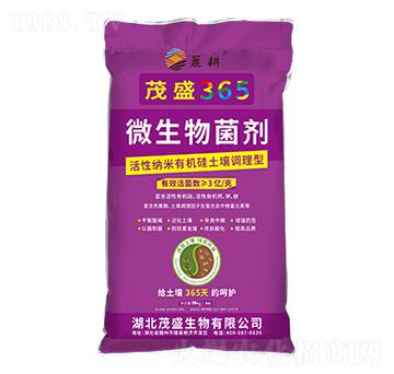 ��ɫ���b΢�������-ï