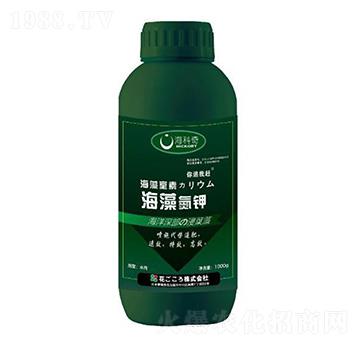 ���嵪�-������