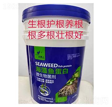 生根型海藻魚(yú)蛋白微生物菌劑-莊園人-喜耕田