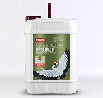 番茄生根防腐-含氨基酸水溶肥料-歐瑞豐