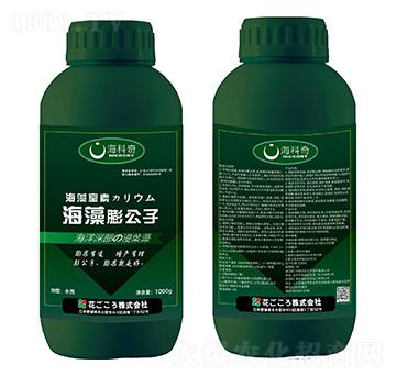 ��������-������