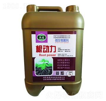 微生物菌劑-根動(dòng)力-新超農(nóng)業(yè)