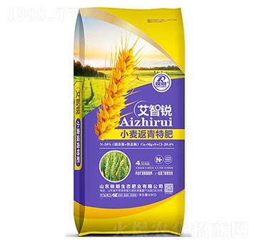 小麥返青特肥艾智銳-銳朗