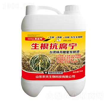 ����������-�����-�r(n��ng)������