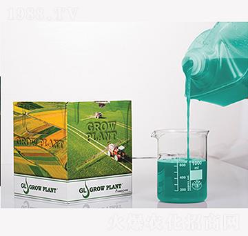 ֲ�����z200-80-600+MgO+TE-����