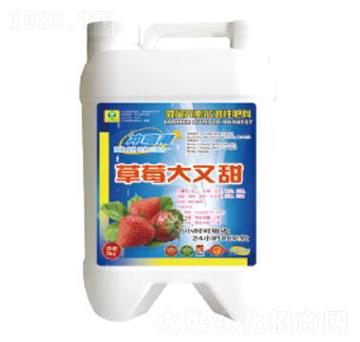 草莓大又甜微量元素水溶性肥料-德鑫生物