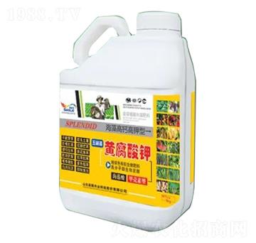 5kgͰ�bҺ��-�������S�����-�sҫ�r(n��ng)�I(y��)