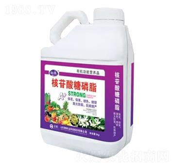 5kgͰ�bҺ��-����������֬-�sҫ�r(n��ng)�I(y��)