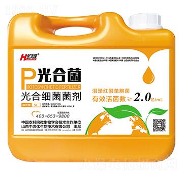 ��ϼ�������-��Ͼ�-