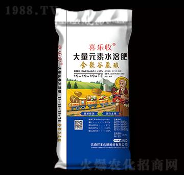 含聚谷氨酸大量元素水溶肥19-19-19+TE-喜樂收-祥豐商貿(mào)
