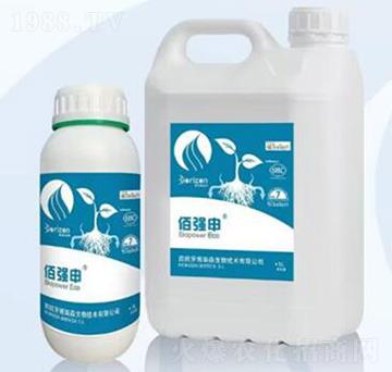 佰強(qiáng)申-埃克蘭德