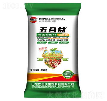 �����΢�������-������-������