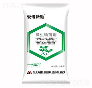 ��(��i)�Z���z΢�������-��(��i)�Z