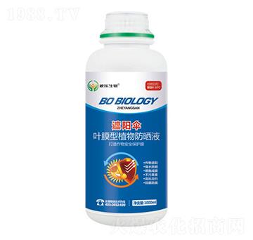 含氨基酸水溶肥料-遮陽(yáng)傘-波樂(lè)生物