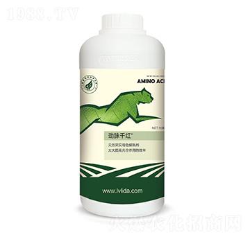 含氨基酸水溶肥料-勁脈千紅-綠力達