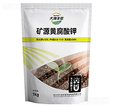 �VԴ�S�����-����S��