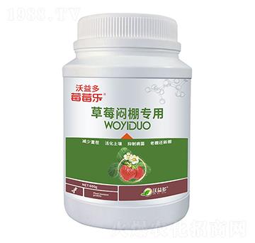 草莓悶棚專(zhuān)用微量元素水溶肥料-莓莓樂(lè)-沃益多