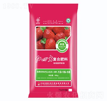 ��ݮ���Ï�(f��)�Ϸ���12-16-18-�t�ķ�