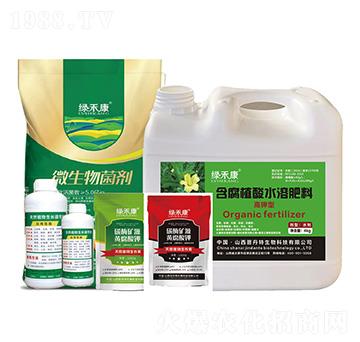 麒麟瓜高產(chǎn)專用肥-綠禾康-晉丹特