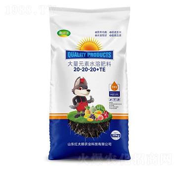 大量元素水溶肥料20-20-20+TE-乾十三-紅太朗農(nóng)業(yè)
