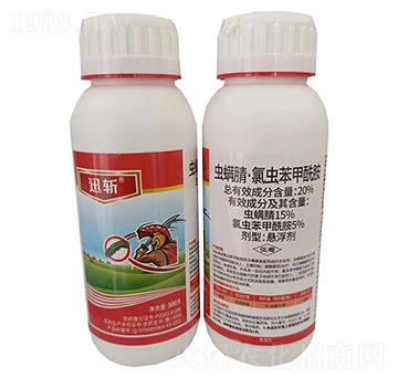 20%�x���桤���x��������-Ѹ��-������