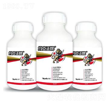 8%���x��Ҹ��N��-�s������-�s���r(n��ng)��