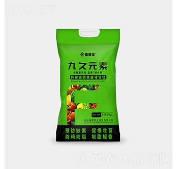 九久元素-福賽福