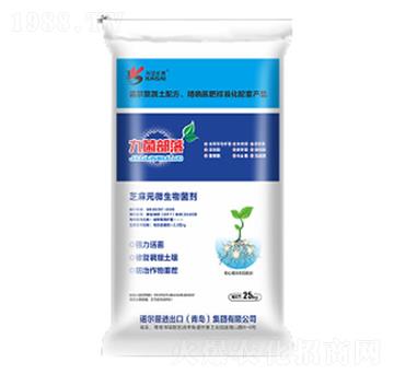 �ž�����-�Z����