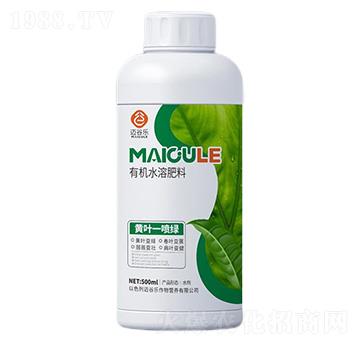 黃葉一噴綠有機(jī)水溶肥料-邁谷樂