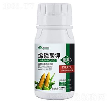 烯磷酸鉀玉米0-40-525-375-云臺大化