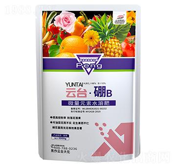 云臺·硼微量元素水溶肥-云臺大化